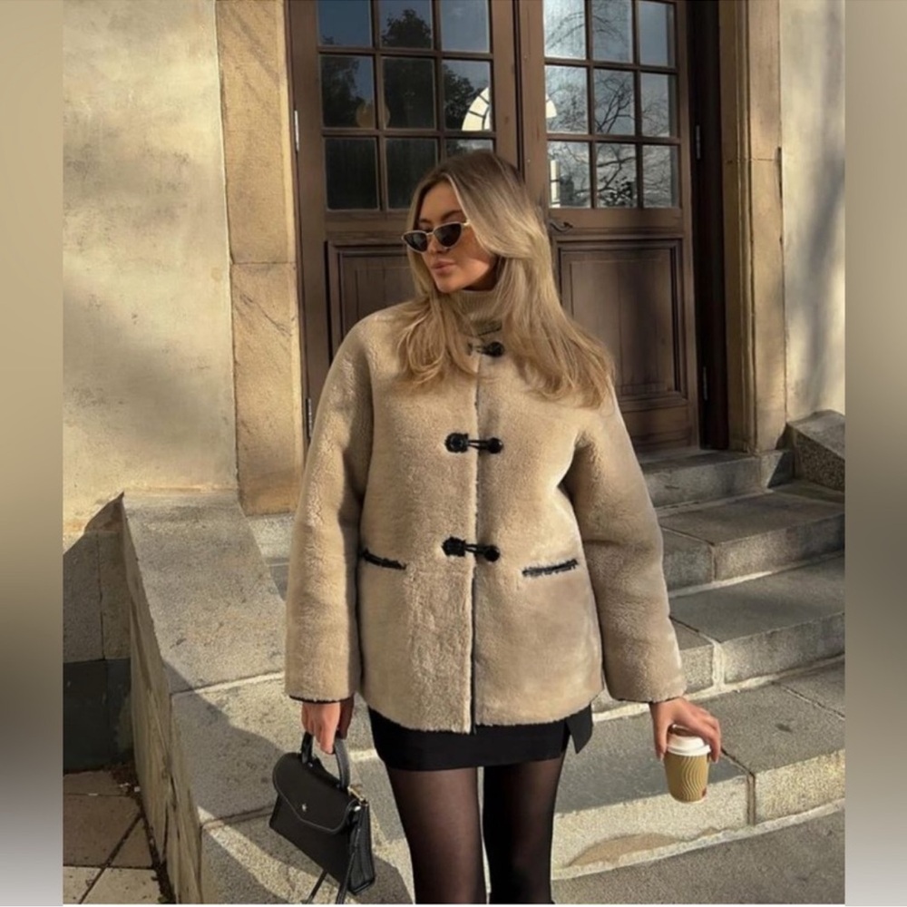 Zara Teddy Shearling Fur Toggle Coat